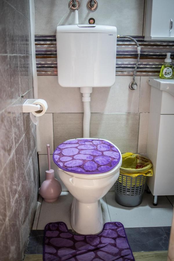 Apartmán Prenociste Indija Hrvic Exteriér fotografie