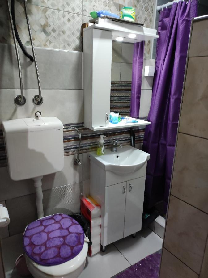 Apartmán Prenociste Indija Hrvic Exteriér fotografie