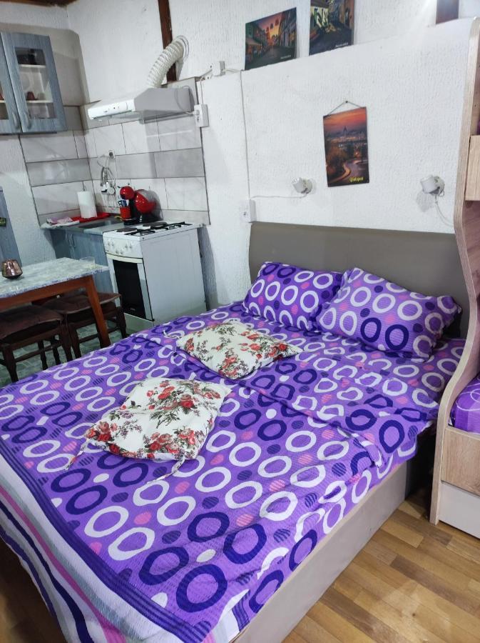 Apartmán Prenociste Indija Hrvic Exteriér fotografie